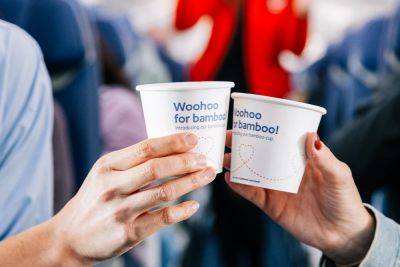 Southwest switching to bamboo drink cups in effort to reduce single-use plastics - thepointsguy.com - state Hawaii