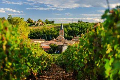 A first-time guide to Beaujolais - lonelyplanet.com - France - city Paris - county Geneva