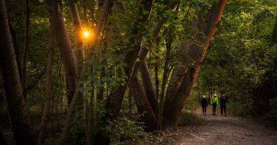 The Wilderness Hidden in the Heart of Toronto - nytimes.com - city Paris - county Park - Canada - state Oregon - county Levy - city Eugene, county Levy - New York, county Park