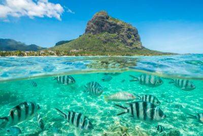 Growing Trend: Travel Experiences—Not Presents— For Family Milestones - forbes.com - county Park - state Oregon - India - Mauritius - county Rock
