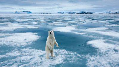 Svalbard Travel: New Environmental Regulations You Need To Know - forbes.com - Norway