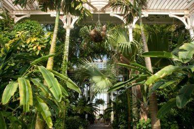 Kew Gardens Is Undergoing a Big, Steamy Change - atlasobscura.com - Australia - South Africa - Venezuela