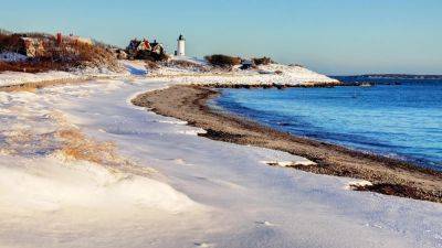 Discover The Rich Biodiversity Of Cape Cod On A Winter Birding Trip - forbes.com - state Massachusets - India - county Bay - city Sanctuary - county Cape May
