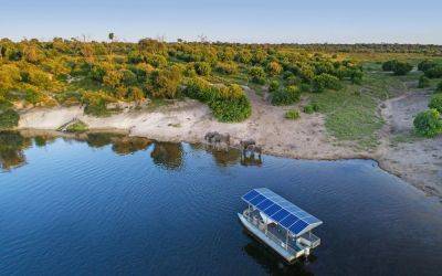 The Ultimate Botswana Safari Is The Goal For This Travel Pioneer - forbes.com - Usa - state Texas - Namibia - Botswana