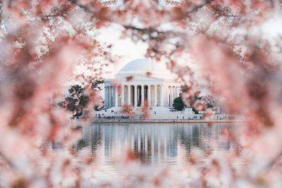 This Is When Washington, D.C. Cherry Blossoms Will Peak in 2024 - travelandleisure.com - city Washington - Washington, area District Of Columbia - area District Of Columbia - city Tokyo - county Will - county Cherry