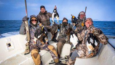 Ready For An Ice Age Adventure? Greenland Eider Hunting Awaits - forbes.com - Iceland - county Island - city Chicago - state Alaska - Greenland - state South Carolina