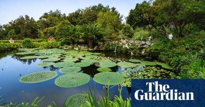 ‘I’ve never seen lily pads so big’: readers’ favourite gardens in Europe - theguardian.com - Britain - China - Argentina - county Bay