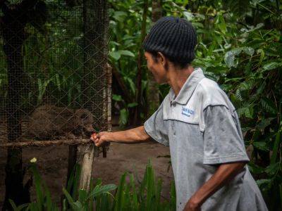 Coffee beans made from civet poop is big money in Bali. But PETA says tourists should avoid it as the animals are kept in cages and fed rotten berries. - insider.com - state Ohio - Indonesia