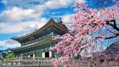 Discover 5 Must-Visit Cherry Blossom Spots In South Korea For 2024 - forbes.com - Japan - South Korea - city Seoul - county Cherry