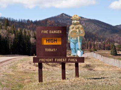 Only You Can Prevent Wildfires, Smokey Bear Turns 80 This August - forbes.com - Usa - Washington - state New Mexico
