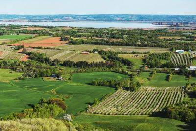 5 Of The Best Vineyards To Visit In Nova Scotia This Spring - forbes.com - Canada - county Island - county Valley - county Brunswick - county Prince Edward