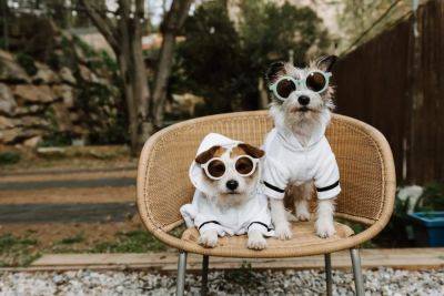 Take A Dog-Friendly Vacation At These U.S. Resorts And Hotels - forbes.com - Usa