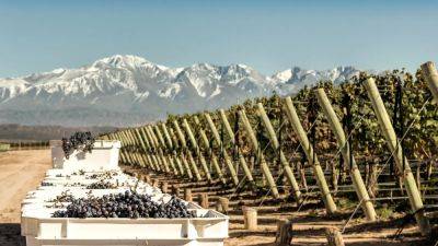 Three Ways To Explore Mendoza, Argentina’s World-Class Wine Destination - forbes.com - Argentina - India - city Mumbai