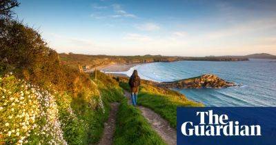 New life buzzes from all directions: why Pembrokeshire in spring is a nature-lover’s dream - theguardian.com - Britain - city London
