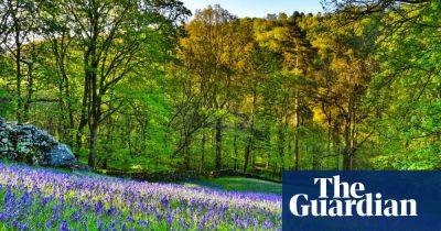 ‘The perfect antidote to winter’: readers’ favourite spring breaks in the UK and Europe - theguardian.com - France - Switzerland - Britain - city Brussels - county Transylvania