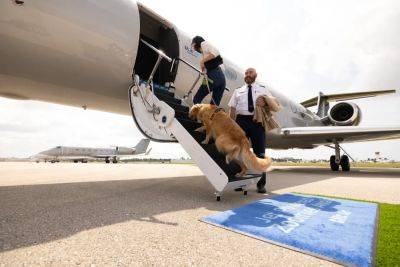 Bark Air, A New Dog-Centric Airline, Is Taking Off This May - forbes.com - Los Angeles - New York - county Westchester