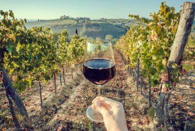 Travel Expert’s 6 Top Places In France For A Fabulous Wine Vacation - forbes.com - France - Usa