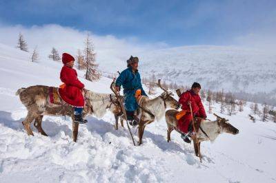 Meet The Dukha People: Mongolia’s Remote Reindeer-Riding Tribe - forbes.com - Saudi Arabia - Russia - Mongolia - Egypt - city Dakar