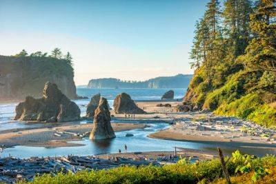 A first-timer's guide to Olympic National Park, Washington - lonelyplanet.com - county Hot Spring - Usa - county Park - Canada - Washington - county Island - state Alaska - state Washington - city Seattle - city Vancouver, county Island - county Green - Victoria - city Emerald