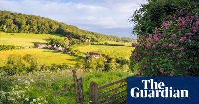 ‘I strolled among lovely Lent lilies, wild garlic and beautiful bluebells’: readers’ favourite spring walks in the UK - theguardian.com - Spain - Britain - county Lake - county Page