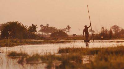 An Expedition in the Okavango Delta Showcases Botswana's Magnificience—and Vulnerabilities - cntraveler.com - Angola - Namibia - Botswana