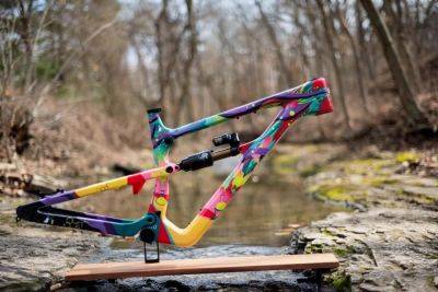 The Bicycle Day Dream Bike: A Carbon Fiber Hommage To Albert Hofmann - forbes.com - Switzerland - Usa