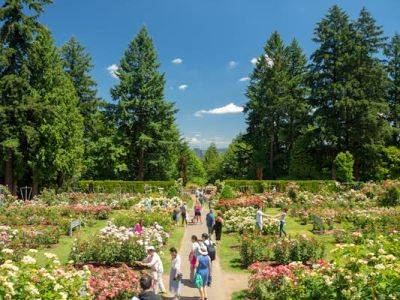 The best time to visit Oregon for festivals, flowers and outdoorsy adventures - lonelyplanet.com - city Columbia - state Oregon