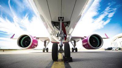 Poo powered planes: Wizz Air wants to make sustainable aviation fuel from human waste - euronews.com - Hungary - Britain