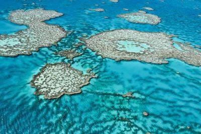 Climate Change Comes for the Great Barrier Reef - skift.com - Australia