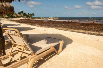 Mexico Adding Anti-Sargassum Barriers Around Popular Tourist Beaches - travelpulse.com - Mexico - state Florida - county Atlantic