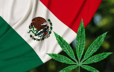 Is Recreational Marijuana Legal in Mexico? What Travelers Need to Know About Mexico's Weed Laws - travelpulse.com - Usa - Mexico