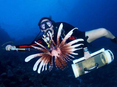 Curaçao Hunts For Sustainability In The Caribbean — And A Lionfish Or Two - forbes.com - Aruba - Panama