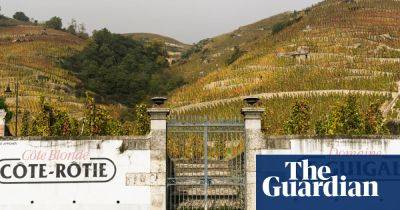 Rail route of the month: vines on the line from Avignon to Lyon, France - theguardian.com - Spain - Germany - France - Hungary - Switzerland - county Lyon - city Muscat
