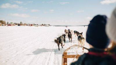 Chasing Adventure on a Dog Sledding Trip Through Swedish Lapland - cntraveler.com - Sweden - state Texas - state Alaska - city Stockholm - area Nome