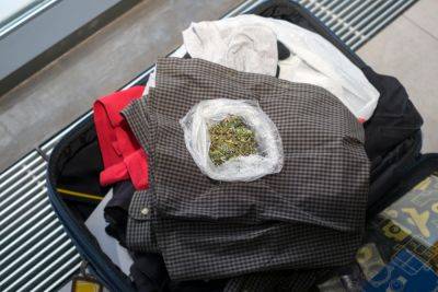 Can you fly with weed? Everything you should know ahead of 4/20 - thepointsguy.com - Los Angeles - state California - Washington, area District Of Columbia - area District Of Columbia - city Los Angeles - city Chicago - county El Paso