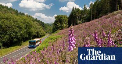 A car-free trip to the Forest of Dean: a moss-cloaked corner of ancient England - theguardian.com - county Forest
