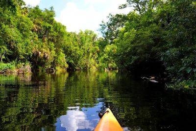 Where To Have A Family Adventure In Florida - forbes.com - county Park - state Florida - county Sarasota - county Bay - city Tampa, county Bay