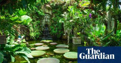 Tell us about a garden in Europe – you could win a holiday voucher - theguardian.com - Spain - Britain - county Florence