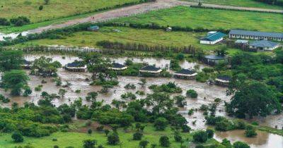 Flooding in a Kenyan Natural Reserve Forces Tourist Evacuation - nytimes.com - county Valley - Tanzania - county Cross - Kenya