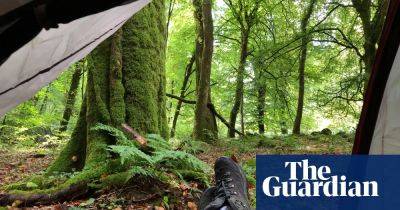 ‘Deep in the woods, 10 minutes from my car’: the platform helping wild camping beginners find a pitch - theguardian.com - Britain - city London - city Brighton