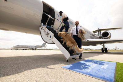 Flights on This New Airline for Dogs — with $8,000 Tickets — Are Selling Out - travelandleisure.com - Los Angeles - city Paris - New York - city New York - city Los Angeles - county Westchester