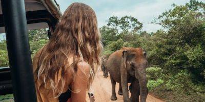 I went on a 2-week safari in South Africa's famous Kruger National Park for just $50 a day - insider.com - South Africa