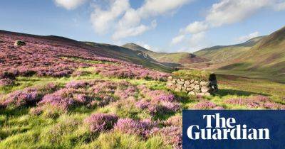 Walking the ‘outdoor capital of Scotland’: 25 years of the Cateran Trail - theguardian.com - Scotland