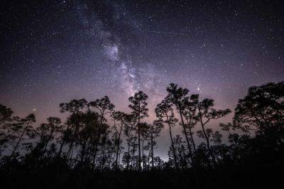 See Up to 50 Shooting Stars Per Hour As the Eta Aquarid Meteor Shower Peaks This Weekend - travelandleisure.com - Usa