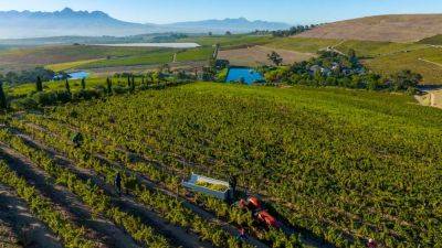 Explore The Riches Of Jordan Wine Estate In Stellenbosch, South Africa - forbes.com - South Africa - India - Jordan - county Ocean - county Atlantic