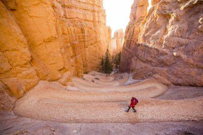 First-timer’s guide to Bryce Canyon National Park - lonelyplanet.com - state Utah - city Zion