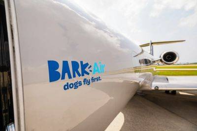 Bark (Air) or bite: Cat fight over dog flights - thepointsguy.com - Los Angeles - city Paris - city London - city Los Angeles - county Westchester - New York, county Westchester