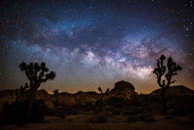 Tickets for Joshua Tree's Annual Night Sky Festival Are on Sale Now — What to Know - travelandleisure.com - state Utah