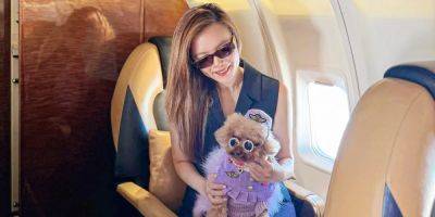 I spent $38,000 to take my toy poodle on a private jet to Japan. I want to plan a trip for my other dogs next. - insider.com - Japan - Hong Kong - city Hong Kong - city Seoul - North Korea