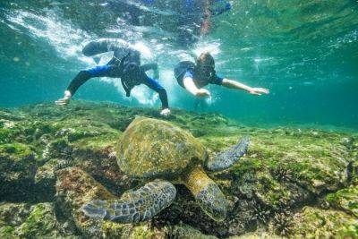 Ring in the Galápagos National Park’s 65th Anniversary with Top Sustainability Initiatives - breakingtravelnews.com - Ecuador